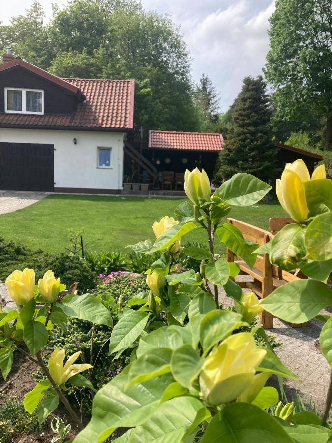 Magnolia Apartment Kruklanki Luaran gambar